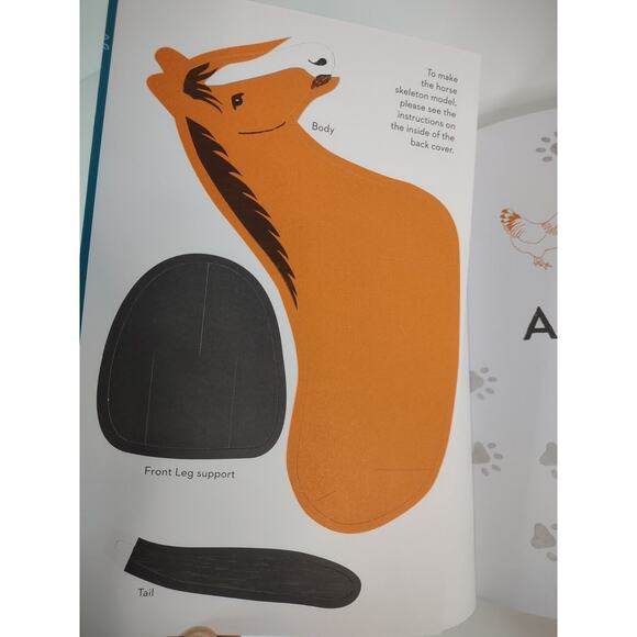 Vet Academy: Are you ready for the challenge Activity Learning Bk Steve Martin - Picture 10 of 10